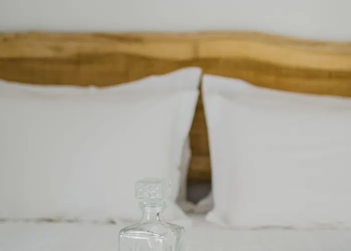 ホテル Levantes Ios Boutique ミロポタス