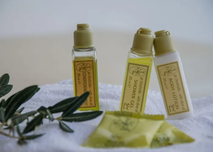 ホテル Levantes Ios Boutique ミロポタス