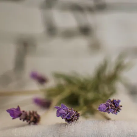 Levantes Ios Boutique Milopótasz