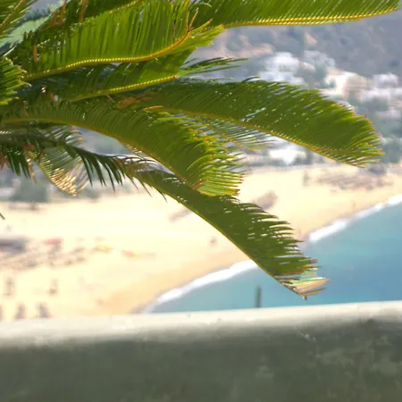 Szálloda Levantes Ios Boutique Milopótasz