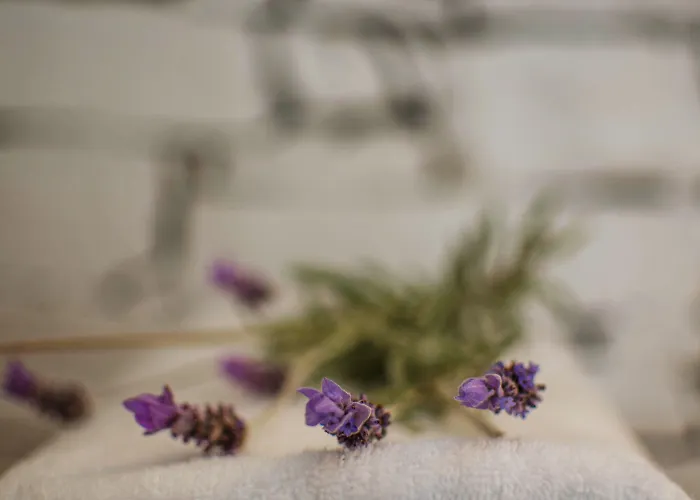 Levantes Ios Boutique Μυλοπότας